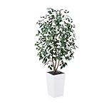 5ft Artificial Ficus Tree,Tall Faux Tree with Pebbles & Planter UV Resistant Potted Fake Plant with Silk Leaves & Real Wood Trunk,Indoor Outdoor Floor Plant for Home,Living Room,VN129