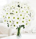 PrestigeFlowers