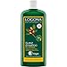 LOGONA Naturkosmetik Glanz Shampoo Bio-Arganöl, Mit natürlicher Glanz-Formel für gesundes Haar, Intesive Feuchtigkeit für trockenes, strapaziertes Haar, Mit Bio-Pflanzenextrakten, Vegan, 250ml