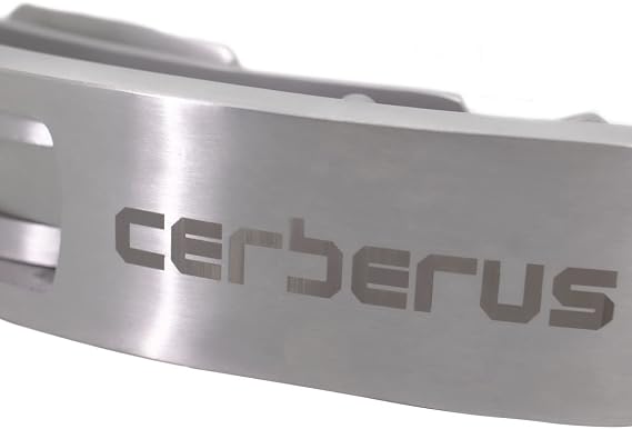 CERBERUS Strength Infinity Lever - Stainless Steel