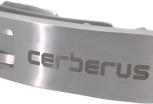 CERBERUS Strength Infinity Lever - Stainless Steel