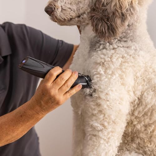 Agrarzone Edition Wahl Moser Max Go Hundeschermaschine mit Aufsteckkamm-Set - Kraftvolle Akku Schermaschine Hund & Katze - 180min Akkulaufzeit - Langhaar Hundehaarschneidemaschine MaxGo
