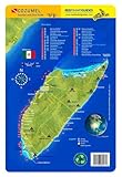 Cozumel Island Reef Smart Waterproof Dive Card
