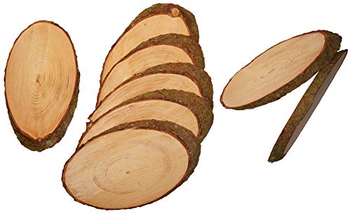 Mercarimus, 8 dischi di legno ovali, lunghezza ca