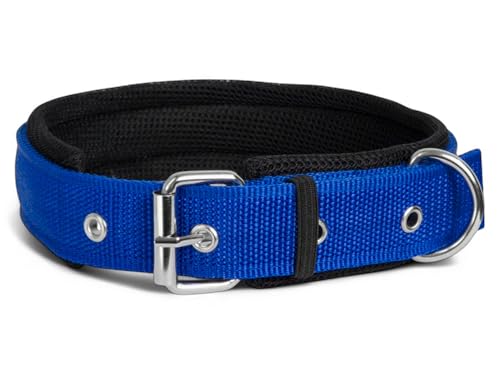 Image of Dog Collar for Small Dogs, Soft Padded Dog Belt Neck Collar, Dog Belt for Puppy Pug, Shih tzu, French Bulldog, Pomeranian, Dachshund, Maltese (Blue, S), 42 x 1.9 cm