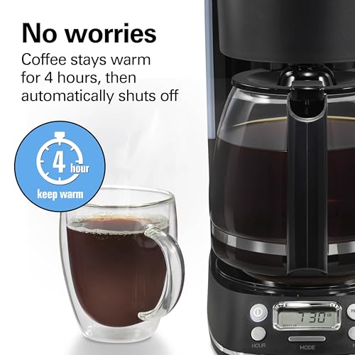 Hamilton Beach 12 Cup Hot & Iced Coffee Maker