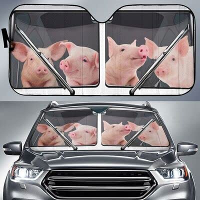 Couverture pare-brise voiture pliable pour les sorties en famille