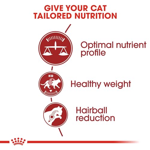 Royal Canin Katzenfutter Feline Fit 32, 1er Pack (1 x 10 kg Packung)