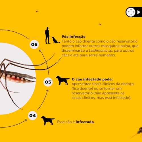 Scalibor Coleira Antiparasitária 48cm para Cães, Branco