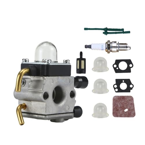 Carburateur FS45 de haute précision pour moteur C1q-s143 et C1q-s153