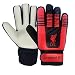 Liverpool FC Official Soccer Gift Boys Goalkeeper Goalie Gloves