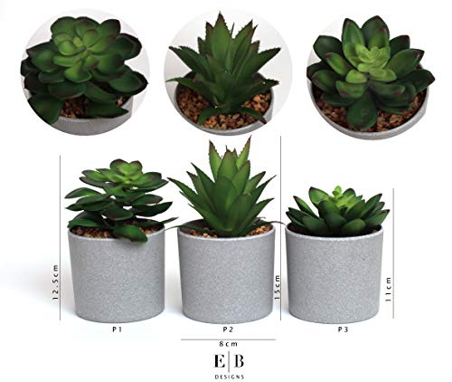 EB Designs Set of 3 Artificial Succulent Plants – Fake Greenery in Grey Pots with Pebbles – Decorative Faux Plants for Home, Office, Indoor & Outdoor Use - Cosy Home Interiors EB Designs Set of 3 Artificial Succulent Plants – Fake Greenery in Grey Pots with Pebbles – Decorative Faux Plants for Home, Office, Indoor & Outdoor Use - Image 7