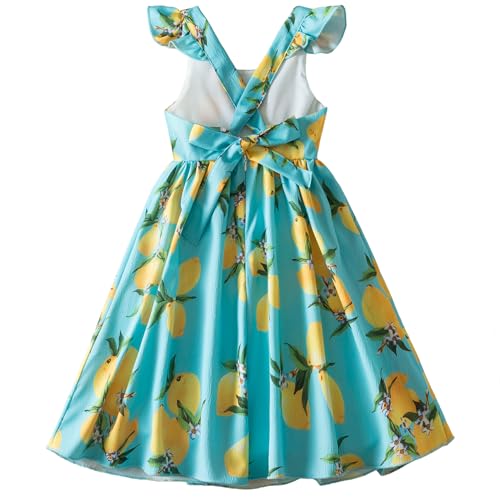 Nileafes Flower Girl Floral Printed Ruffle Dress Summer Beach Party Holiday Casual Sundress