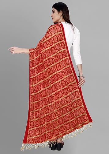 Image of TRENDMALLS Women's Bandhej Chinon Silk Dupatta