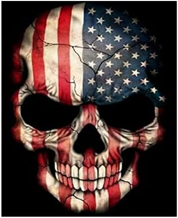 ARAZADR DIY Cross Stitch Stamped Starter Kits for Home Decor, 3 Strands 11CT Pre-Printed Fabric Embroidery DIY Crafts Needlepoint Kit for Beginners Adults and Kids- Skull Pattern, 11.81×15.75Inch