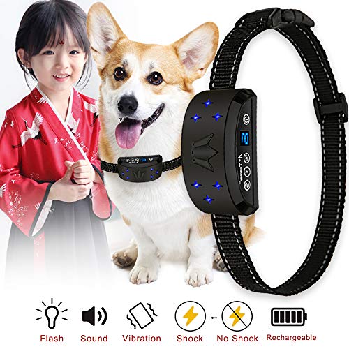 高評価 吠え 送料無料 まとめ はぐくむ 100ml 12セット ペット用品 レビュー投稿で次回使える00円クーポン全員にプレゼント 無駄吠え防止 犬 ペット ホビー エトセトラ 犬用品 高評価 吠え 送料無料 まとめ はぐくむ 100ml 12セット ペット用品 レビュー投稿で次回使える00円クーポン全員にプレゼント 無駄吠え防止 犬 ペット ホビー エトセトラ 犬用品