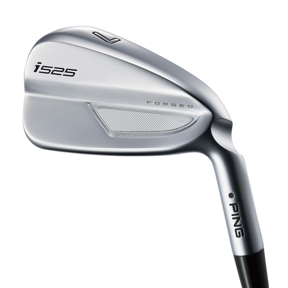 NIPPON SHAFT 日本シャフト N.S.850GH neo NS850GH ネオ 5-PW 6本 