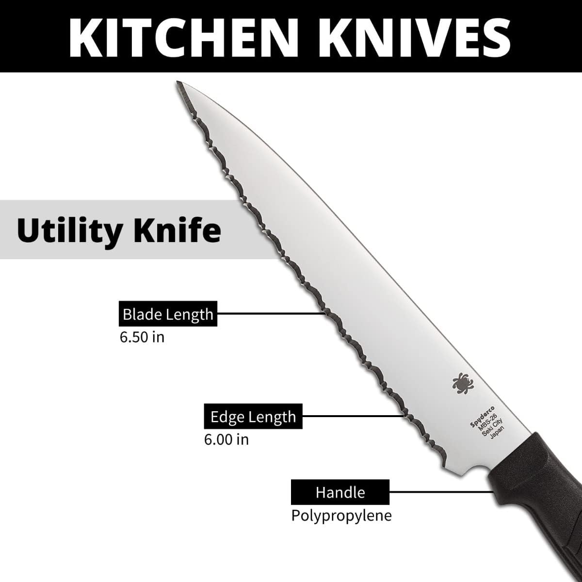 51 8sjn VsL._AC_SL1500_.jpg