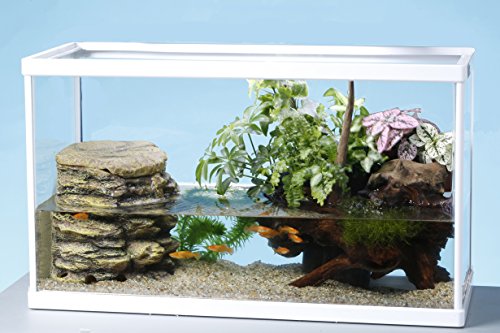 新品本物 オーダーメイドレイアウト例 森と小川アクアテラリウム 在庫有り即出荷 その他 Rspg Spectrum Eu