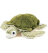 カロラータ アオウミガメ ぬいぐるみ (Mサイズ/やさしい手触り) リアル カメ 海の生き物 動物 おもちゃ お人形 ギフト プレゼント 誕生日 (検針2度済み)