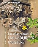 Die Pflanzenwelt des Naumburger Meisters: Gärten aus Stein