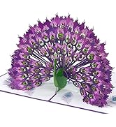 Carte D'Anniversaire Faite Main 3D Pop Up Paon Pliable Carte Postale De