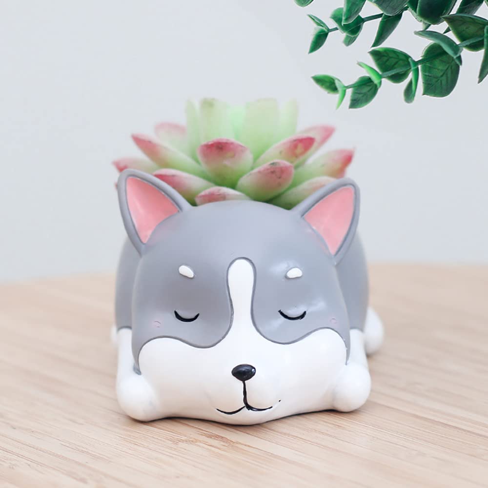 DIYOMR Vaso Portafiori A Forma Di Cane Corgi - In Resina, Per Piante Grasse E Cactus, Decorazione Casa - 3