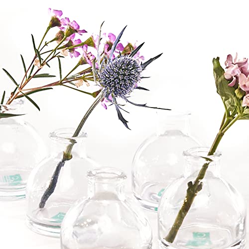 Chive ‘Loft’ Glass Bud Vases For Flowers — Set Of 10 Clear Round Bottles — Super Cute Wedding Decor Centerpieces — Premium Quality & Made To Last #TOP3