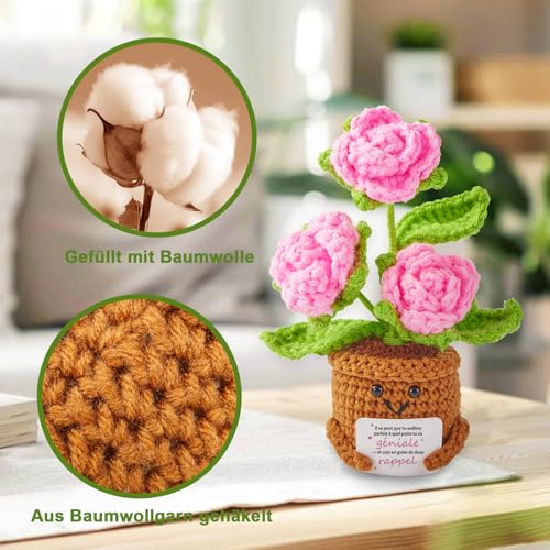 Cadeau Femme, Cadeau Anniversaire Femme - Idee Motivation Positive Rose au Crochet Cadeau Original, Cadeaux Femmes Noel Anniversaire Original, Cadeaux pour Amie, Soeur, Collègue, Maman, Fille, Copine – vue 3