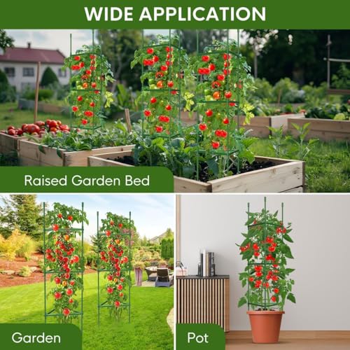 4PCS Tomato Cages for Garden, Tomato Trellis for Raised Garden Bed, 51.2" Tall Cage Plant Support for Pots, Gardening Supplies Trellis for Climbing Plants (4PCS，High: 51.2 Inch) by MQJIAZHI - Image 4