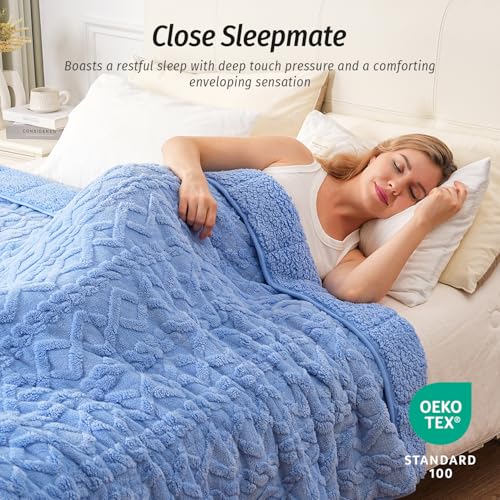 Image of Wemore Weighted Blanket for Adults Queen Size 20 lbs, Dual Sided Soft Fuzzy Jacquard Sherpa Weighted Blankets Throw, Cozy Fluffy Knitted Heavy Blanket for Couch Bed, Blue, 60 x 80 inches