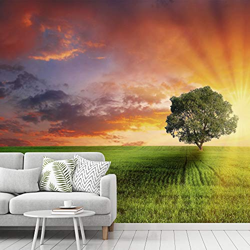 signwin Wall Mural Sunset Removable Self-Adhesive Wallpaper Wall Decoration for Bedroom Living Room - 66x96 inches