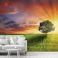 Wall Mural Sunset Removable Self-Adhesive Wallpaper Wall Decoration for Bedroom Living Room - 66x96 inches