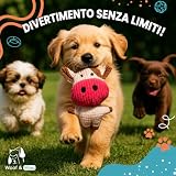 WOOF & MIAU B0F74H4CKB lato 4