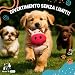 Imagen de WOOF&MIAU® Pack 8 Juguetes para Perros