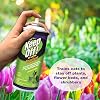 Four Paws Keep Off Pet Repellent Spray for Outdoors & Indoors, Cat & Kitten Chew & Scratch Deterrent, 6 oz.