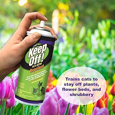 Four Paws Keep Off Pet Repellent Spray for Outdoors & Indoors, Cat & Kitten Chew & Scratch Deterrent, 6 oz.