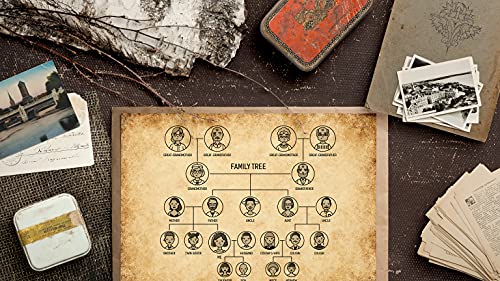 Stationery Paper, 100 Sheets, Aged Look Vintage Antique Old Fashion Parchment Paper, Letter Size 8.5 X 11 Inch, Double Sided Printing Paper, By Better Office Products, 6 Designs, 100 Pack #TOP3