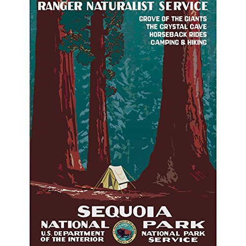 Affiche Sequoia National Park le grand poster de voyage américain 91x120
