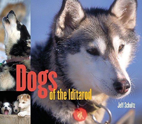 Dogs Of The Iditarod #TOP29