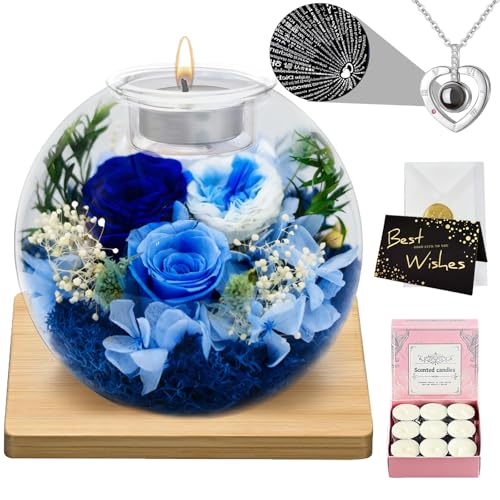 3 Color Blue