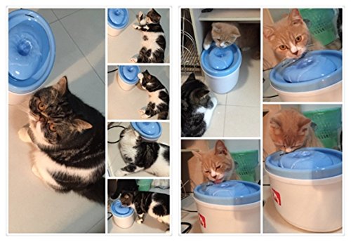 Fuente automática para agua para gato 3L azul miniatura 7