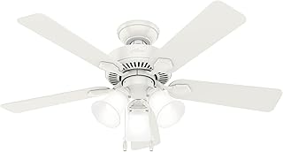 Hunter Ceiling Fan with LED Lights and Pull Chain