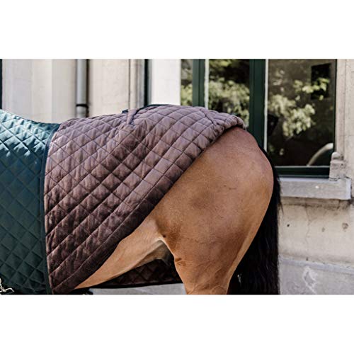 Couverture de présentation Kentucky 145 vêtement équin chaud 160g - 6