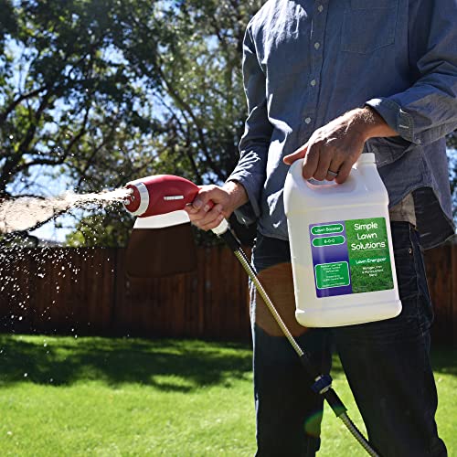 Commercial Grade Lawn Energizer - Grass Fertilizer Booster with Nitrogen, Iron, Micronutrients - Liquid Turf Spray Concentrated Fertilizer- Any Grass Type - Simple Lawn Solutions (1 Gallon)