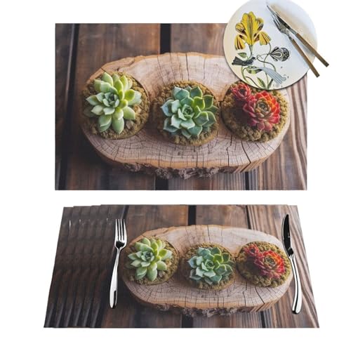 Set de table thermorésistant et anti-tache en PVC tissé pour cuisine - 2