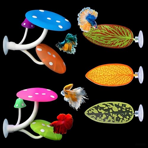 HyzaPhix ANAE  IuWF pANZT[ I[ig pe[}I[ig l`    Mы ӏ܋    i   Gr TQ[ B u ^ ͋C CeA