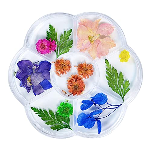 Flores secas para unhas - 3D Caixa de Flores Secas, Multicoloridas, Suprimentos de Decoração de Desi
