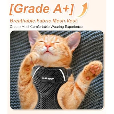 Halypet Cat Harness and Leash Set [ MAX Safety Third Generation ] Escape Proof Soft Adjustable Cat Leash Breathable Comfortable Vest Easy to Wear Kitten Harness for Outdoor Walking