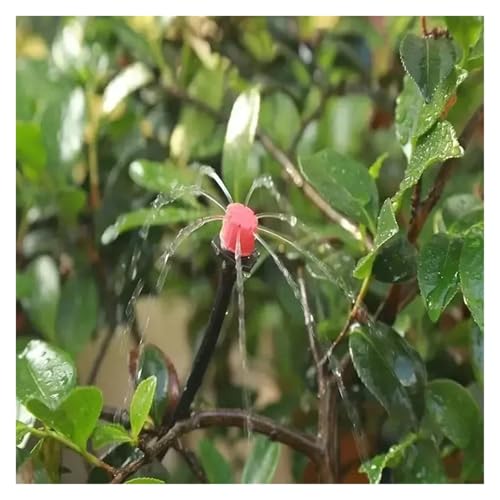 DANZT[ 50[g DIY |_HVXe UZbg Ԑ ΐAZbg ANZT[